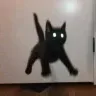 natatat
